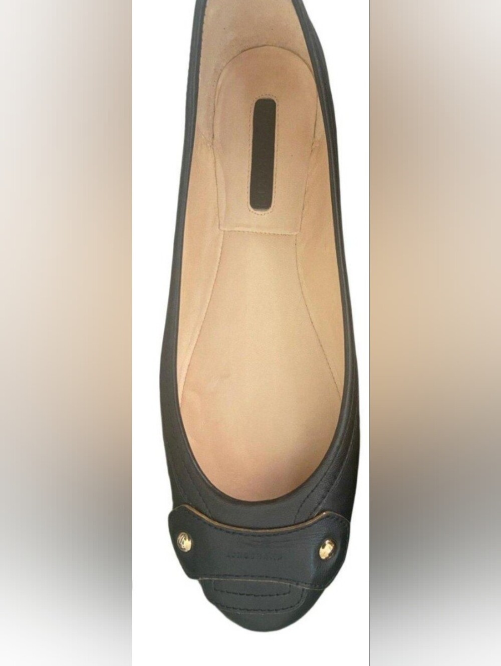 Longchamp Espresso/brown Leather Studded Ballet Flats